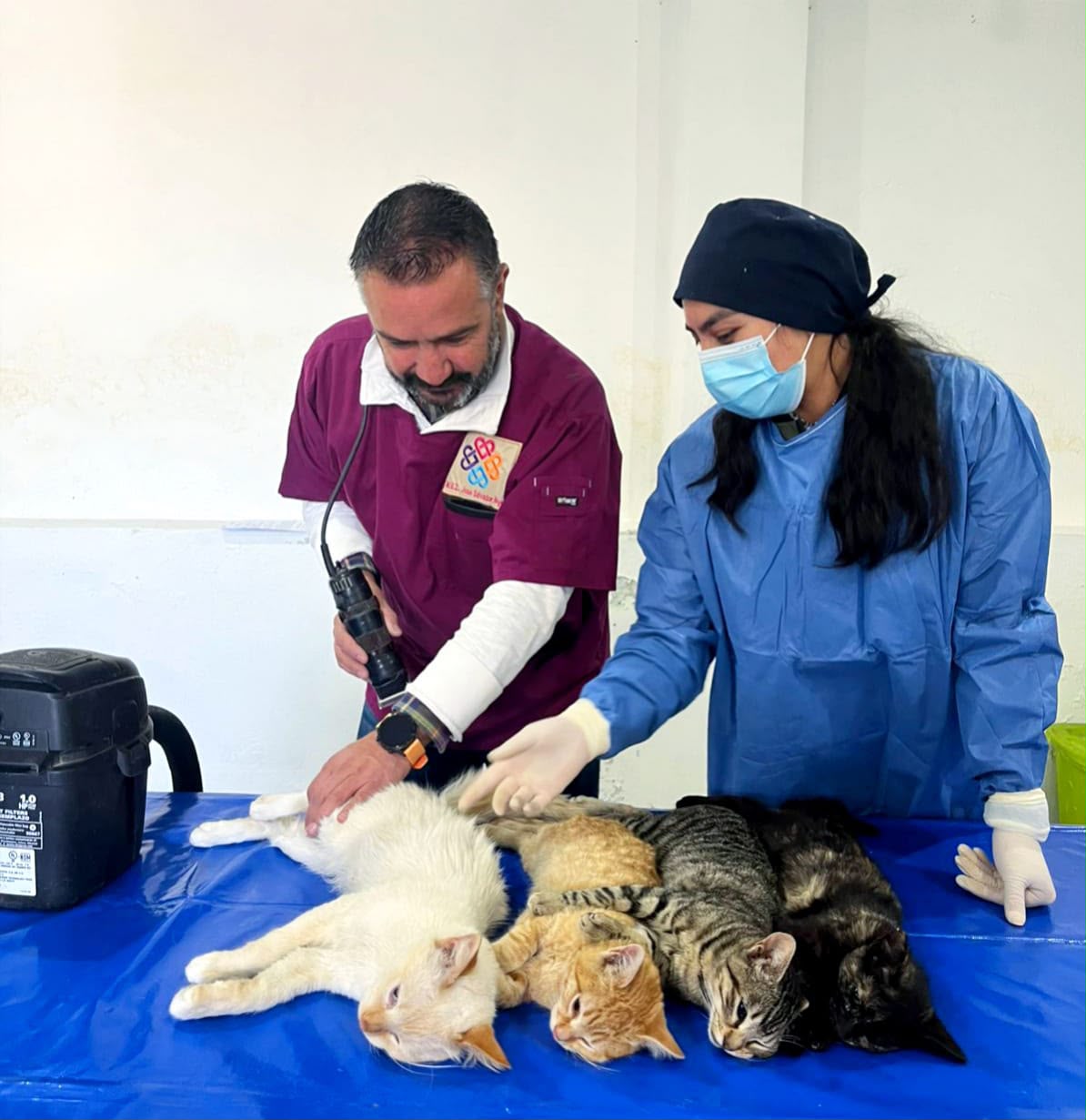 Buena respuesta recibe jornada de esterilización canina y felina en colonia Chalma de Chiautempan